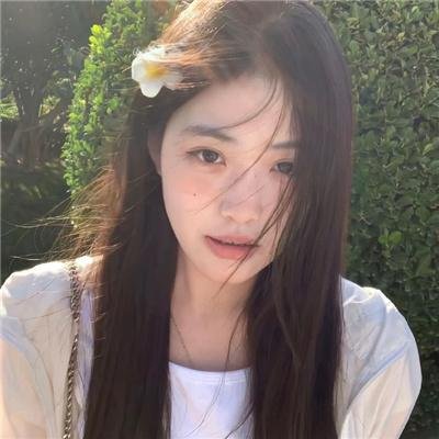 听风的歌
